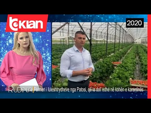 Video: Datat e mbjelljes së luleshtrydheve për fidanë sipas kalendarit hënor 2020