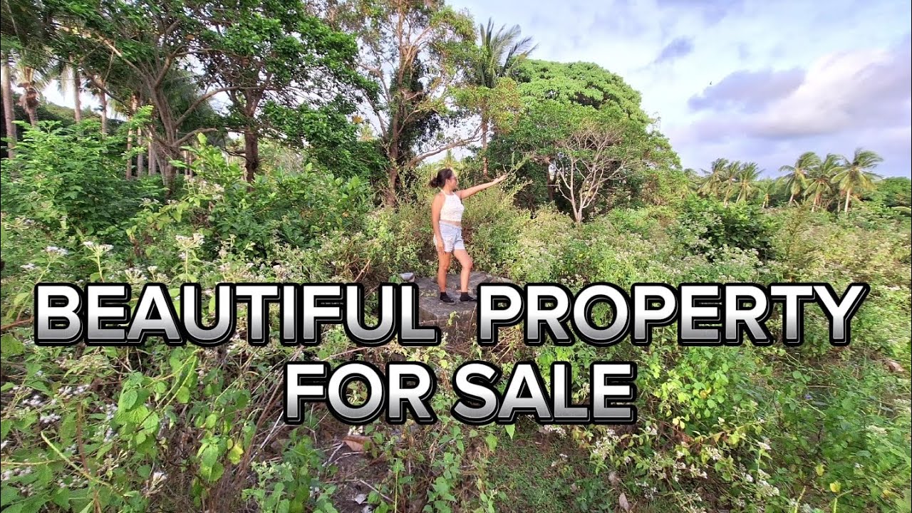 Beautiful Property For sale In Dauin Dumaguete City Philippines philippines dumaguete 