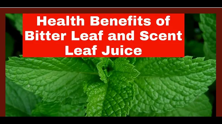 Surprising Health Benefits of Bitter Leaf and Scent Leaf Juice