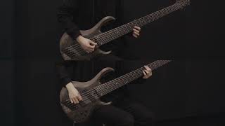 Nevrness - Skyline (Official Video) BTB806MS Ι Bass Play-through