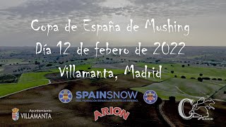 Copa de España de Mushing, Villamanta, Madrid. Primera manga día 12 de febrero de 2022