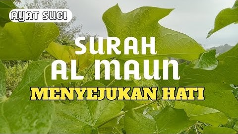 Surat Al-Ma'un (The Small Kindnesses) مشاري راشد العفاسي | سورة الماعون