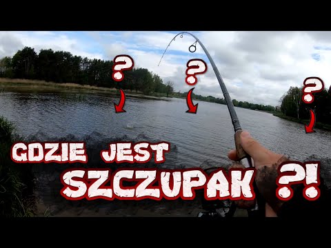 Wideo: Jak Znaleźć Szczupaka