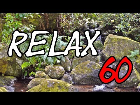 RELAX - 1 hour Madeira, jungle, waterfall, twittering of birds, relaxation, sound of nature