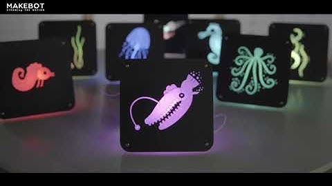 Makebot Coding to Concepts Program | Halocode Project | Marine Bio Lamp