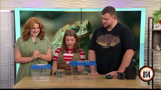 Meet the ambassadors: Frog Week 2026 || Studio 814