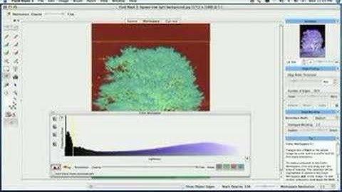 Fluid Mask 3 - Invert and alpha mask editing