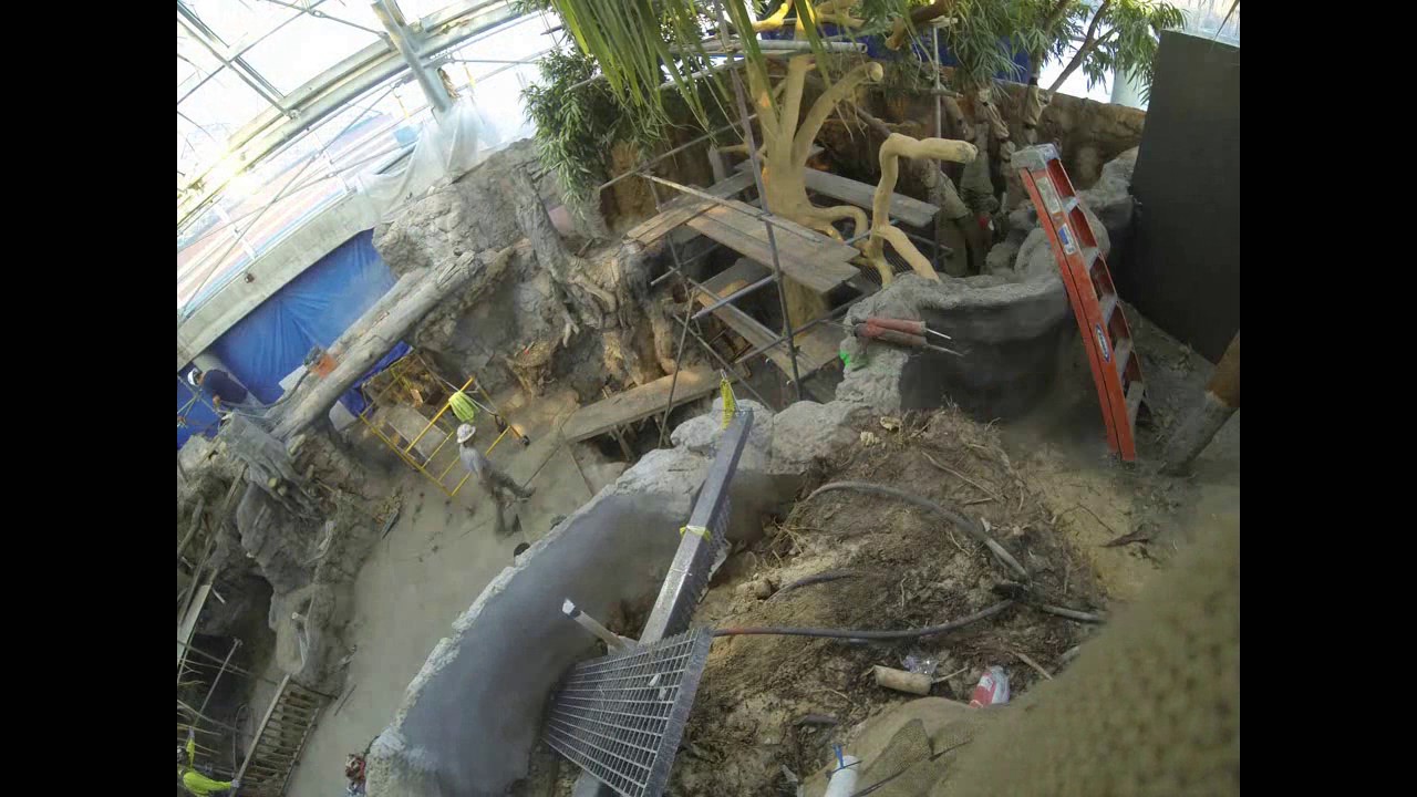 Time Lapse Video of Lemur Forest Exhibit Construction