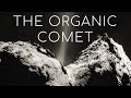 What did ESA's Rosetta-Philae discover at comet 67P/Churyumov–Gerasimenko?