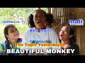 Batang sipat  the topic yesterday is beautiful monkey