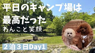 【わんことキャンプ】平日のキャンプ場は最高だった　#広島#広島県安芸高田市