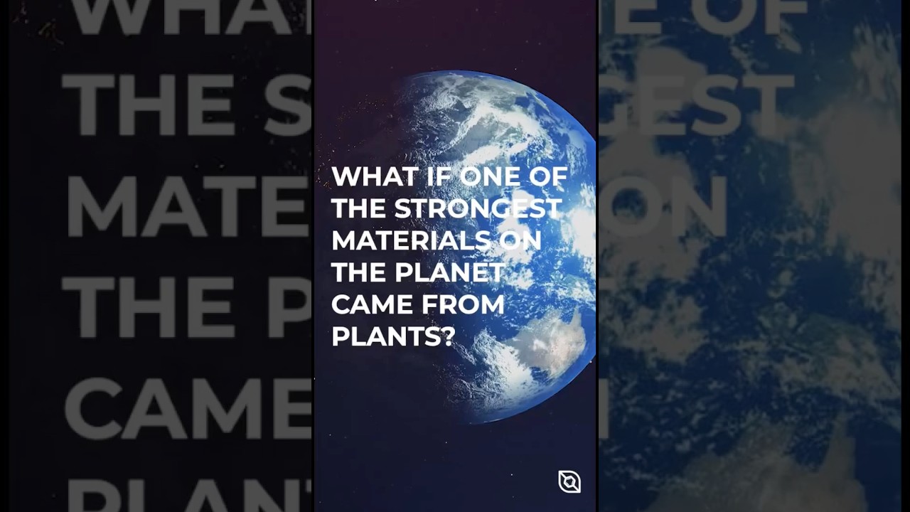 Stronger than steel, derived from plants? 🌱 🌊 