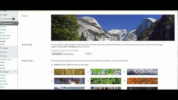 Weaver Header Theme Options
