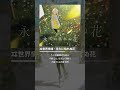 이세계정서(ヰ世界情緒) - 영원히 시들지 않는 꽃(永久に枯れぬ花) #shorts #이세계정서