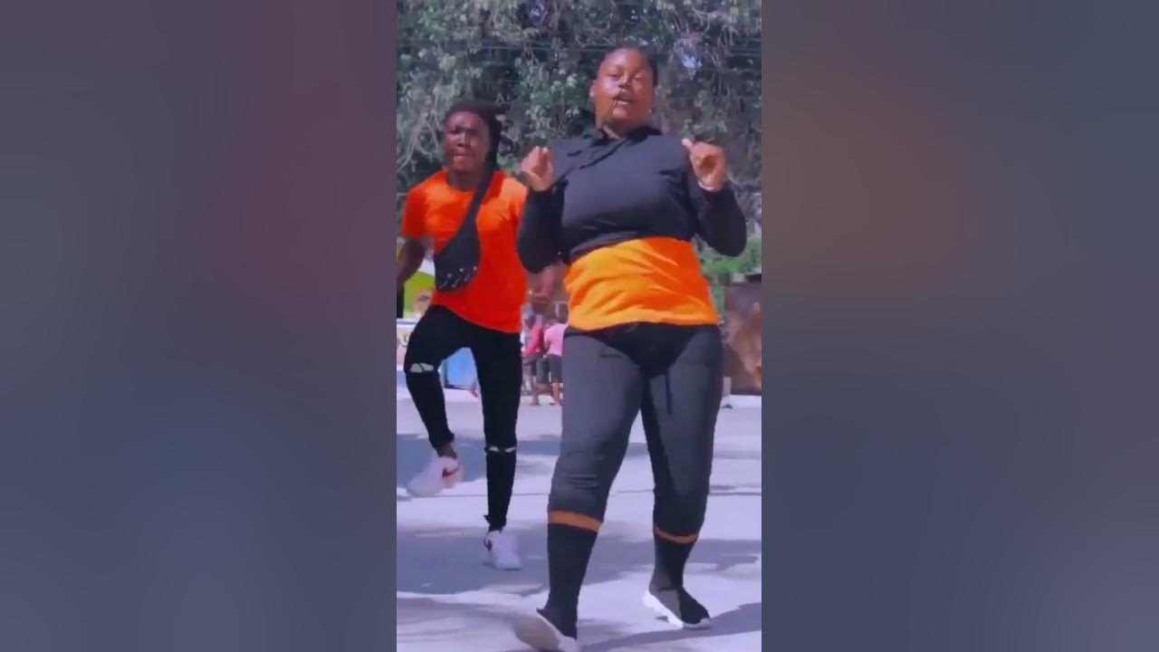 Les AMIS Dance Les AMIS Dance