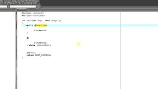 Celebrity 14   C Programming Tutorial = do while loop   Part 1 Net Worth