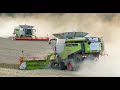 Žně ZD Okříšky 2019 | 3x Claas Lexion 770 TT