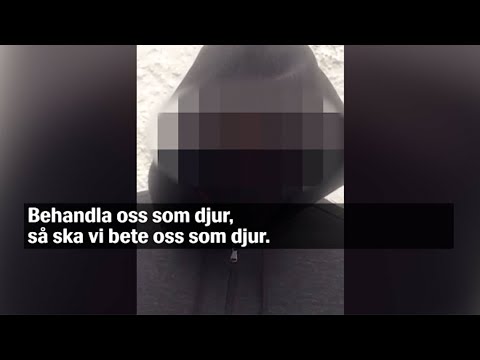 Video: Hold Opp: Denne Svenske Byen ønsker å Gi De Ansatte En Ukentlig Sexpause