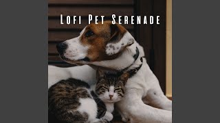 Harmonious Pet Rhythms