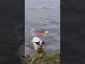 Frida In The Water 💦💦
