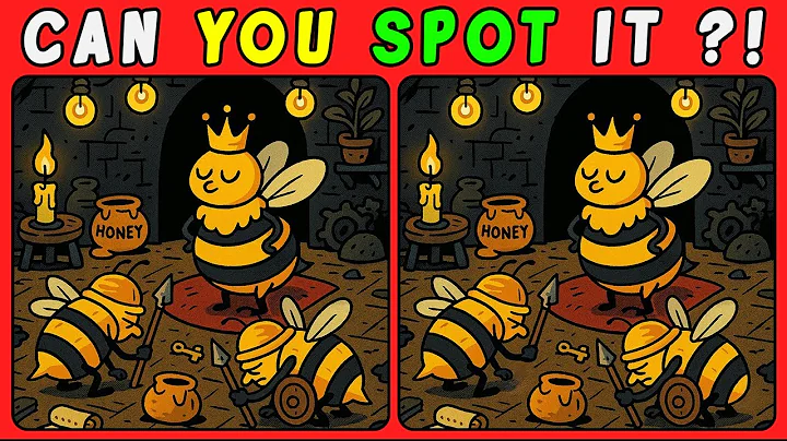 what is the difference? find the difference quiz! spot the difference