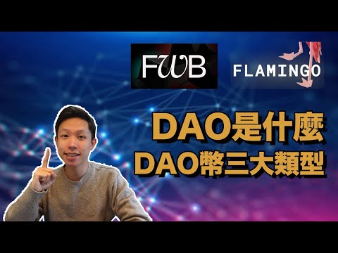   十分鐘認識DAO是什麼 DAO的爆發性潛力和缺點 DAO幣的三大類型 Protocol Investment Social DAOs Flamingo Dao FWB幣介紹 香港中文介紹 廣東話 字幕