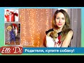 Как уговорить родителей купить собаку. Как уговорить родителей завести собаку. Как купить собаку?