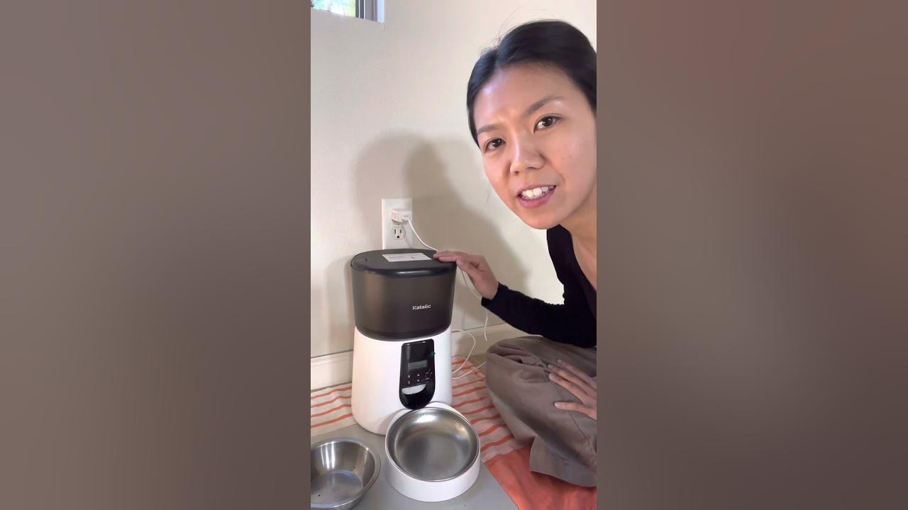 Katalic Automatic Cat/Dog Feeder Review YouTube