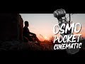 DJI OSMO POCKET Cinematic Footage 4K | Bali, Germany & Italy
