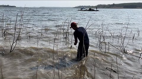 CÂU CÁ TỰ NHIÊN ĐẬP SÔNG RAY