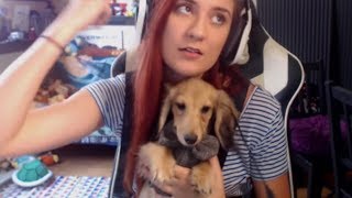 Puppy Q&A LIVE!
Download Dissidia Final Fantasy Opera Omnia to start playing todayyyy! https://go.onelink.me/2swl/8a3e5518
FOLLOW US ON THE THINGS!
ME: http://www.twitter.com/brizzyvoices
ME: http://www.instagram.com/brizzyvoices
REMUS: http://www.instagram.com/remus_the_doxie Puppy Q&A LIVE!