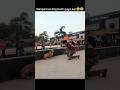 Dangerous dog bach gaya aaj 😮😅 #dogshorts #dangerousdog #dogfight #doglife #youtubeshorts #shorts