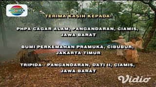 Misteri Gunung Merapi 2 Ending INDOSIAR 1999