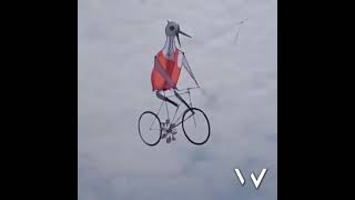 Bicycle kite