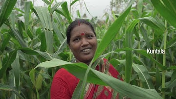 The Graduation Stories: Kuntola