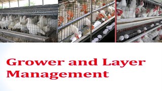 Grower and Layer Farm Management.Layer Farming Layer Poultry Farm. screenshot 5