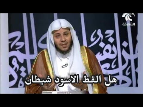 فيديو: هل يمكن لقط أسود أن يقتل أسدًا؟