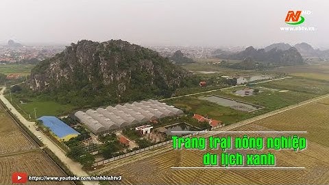 Khám phá cùng NBTV: Trang trại nông nghiệp du lịch xanh