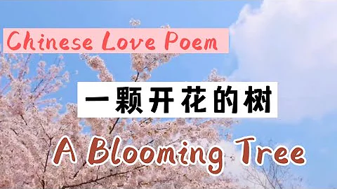Chinese love poem - 一棵开花的树 - A blooming tree by Xi MuRong - with English translation - 中文诗歌朗读 - DayDayNews
