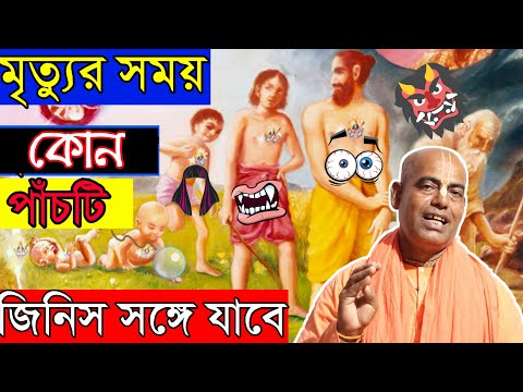 ভিডিও: কুকুরের কি আত্মা থাকে এবং মৃত্যুর পরে এটি কোথায় যায়: বিভিন্ন ধর্মের মতামত