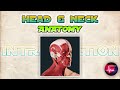 HEAD &amp; NECK Anatomy Introduction | Anatomy | MEDICO
