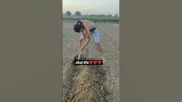 Jaat Desi status / Jaat / attitude Whatsapp status / SD Jaat status / sad status / #jaat😀😀😀😀😀