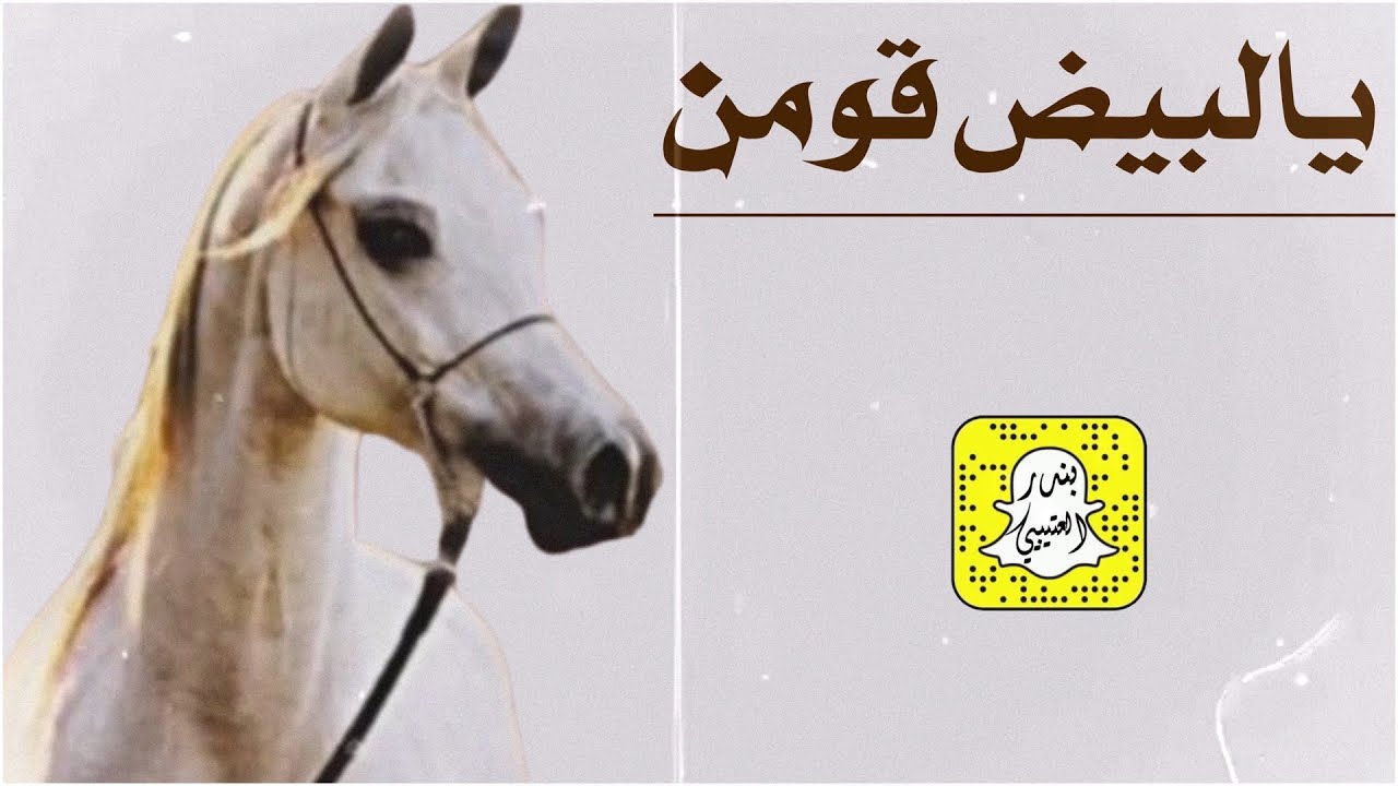 يالبيض قومن اداء ماجد الرحيمي 2025 حصرياً