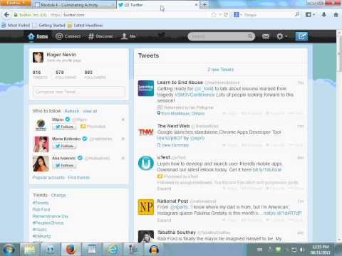 Querying the Internet Using RSS, Google Alerts and Twitter