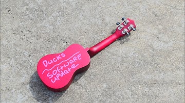 Software Update - Ducks (Offical Music Video)