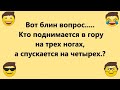 Как Блондинка Адвоката провела!  Подборка смешных Анекдотов!  Только юмор, шутки и позитив!