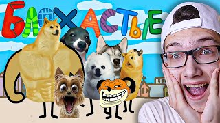 видео: 🤣 БЛОХАСТЫЕ : Мульт пародия на Барбоскины! Реакция на КОТЭ МАРАКУЙ Анимация! картинка: 🤣 БЛОХАСТЫЕ : Мульт пародия на Барбоскины! Реакция на КОТЭ МАРАКУЙ Анимация!