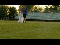 Rejoice Homecoming