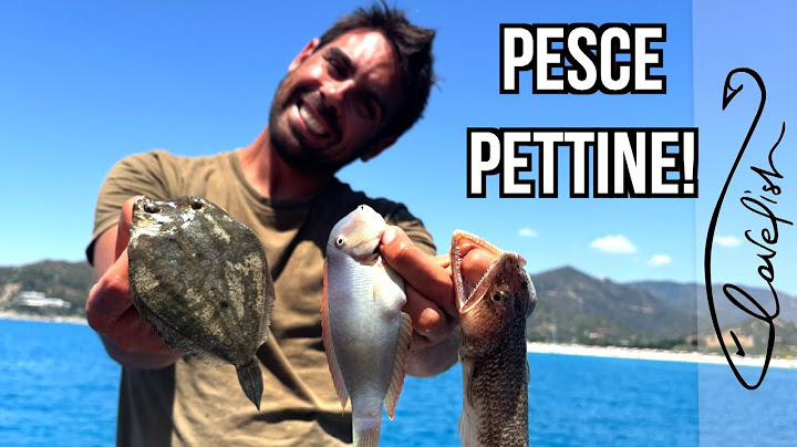 La pesca al PESCE PETTINE - catch and cook - DOOGEE V Max S