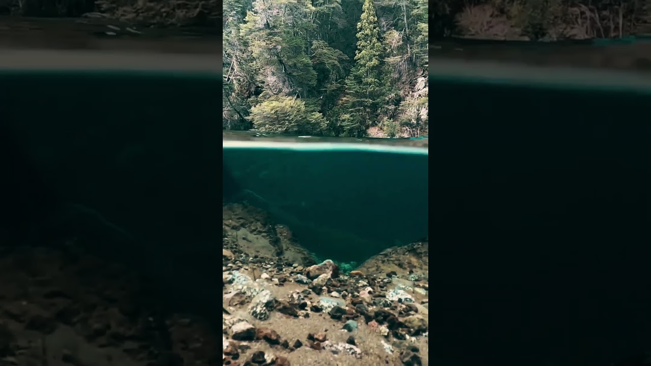 Los Piletones del rio manso   